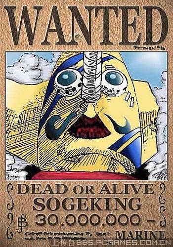 海賊王懸賞金更新,夢(mèng)想的力量與自我超越的冒險(xiǎn)之旅