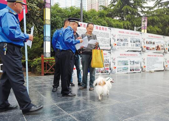 文明養(yǎng)犬規(guī)定重磅更新,最新指南助你規(guī)范養(yǎng)犬???