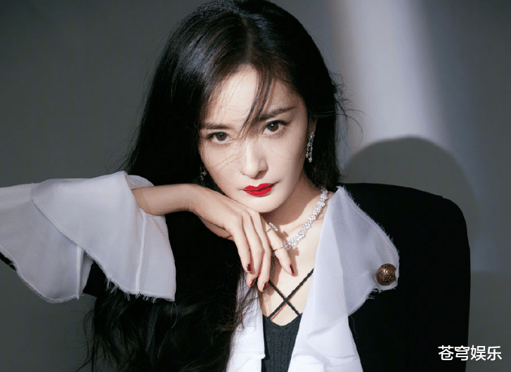 明星版圖片,愛與陪伴的日常故事縮影