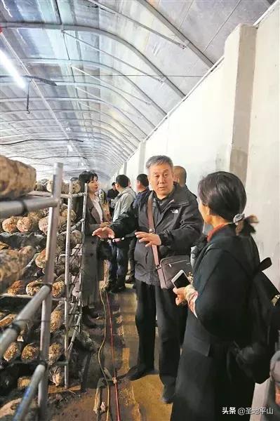 平山交通動態(tài)，雙刃劍效應(yīng)的發(fā)展與挑戰(zhàn)