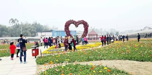 綠色經典精盛青稞酒 第328頁