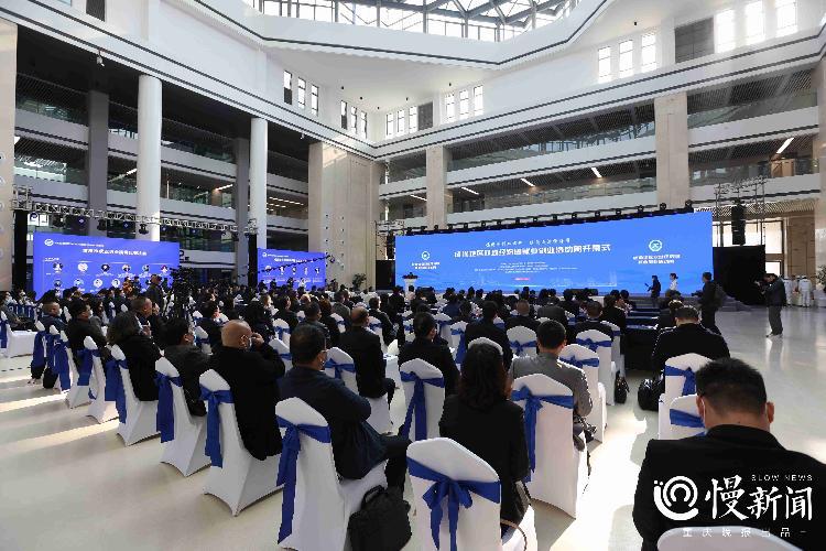 雙城區最新司機職位招聘，全面解析與觀點論述