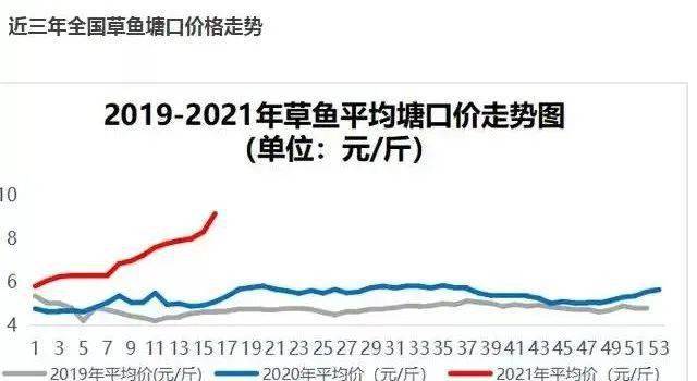 科技賦能草魚交易，今年草魚價(jià)格行情及交易體驗(yàn)革新