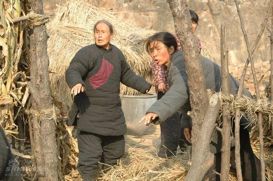 沂蒙電視劇演員表，小巷中的演技寶藏與獨特風味探索