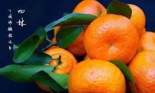 2017南豐柑橘行情預測與分析