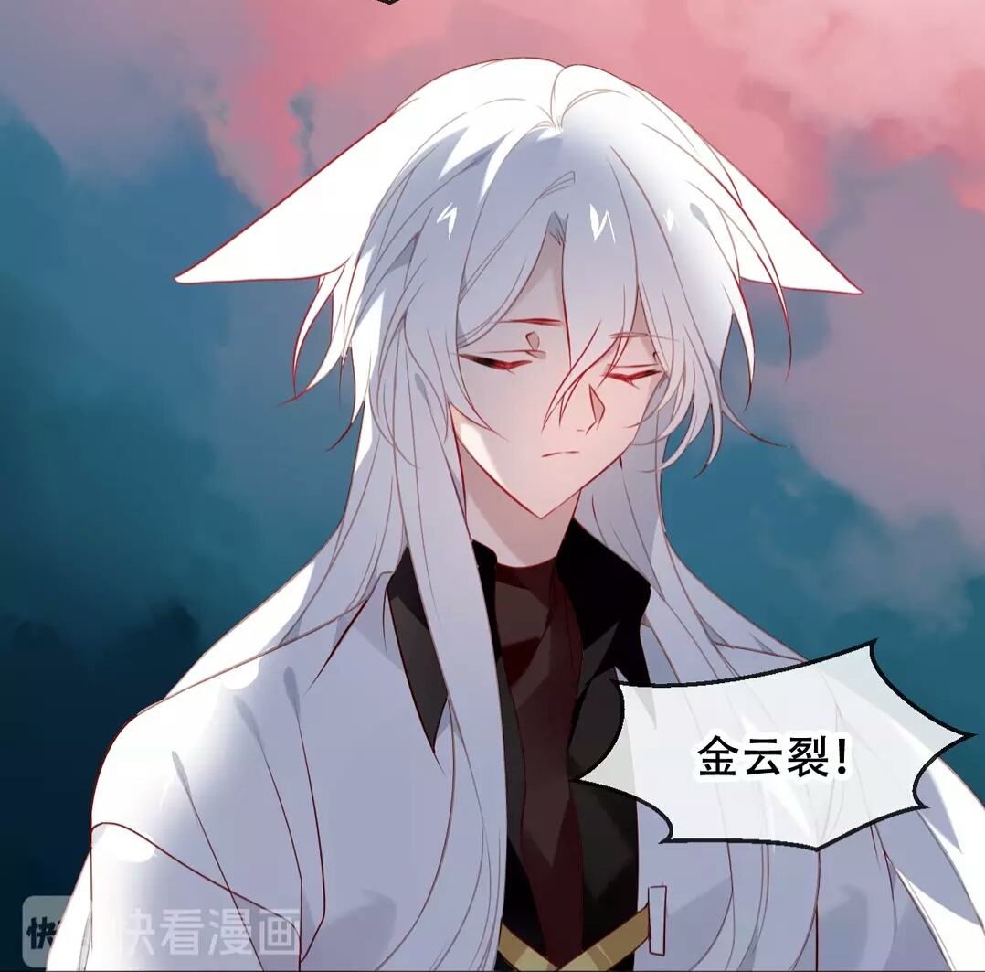 吾凰最新話深度解析，多維度的觀點(diǎn)與個(gè)人立場探討