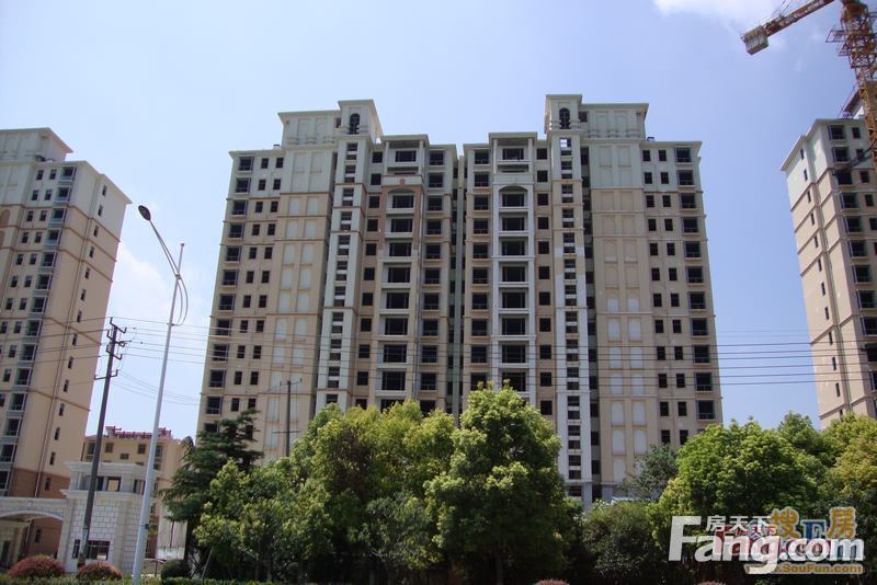 泰州鳳城麗都最新動(dòng)態(tài),家的溫馨與友情的綻放