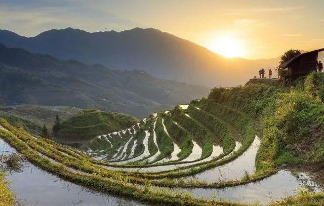 關于12歲兒童機票價格的全面解讀與指南