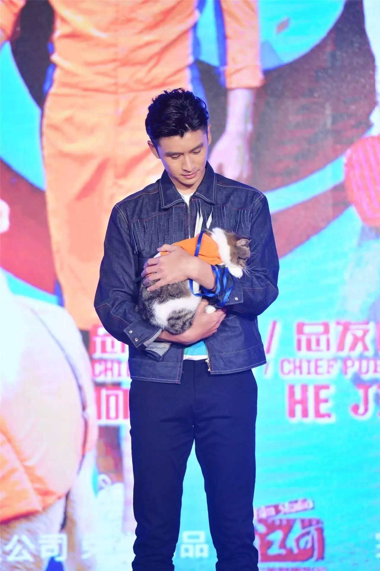 神犬小七2演員陣容全揭秘，星光熠熠與小巷特色小店探尋之旅