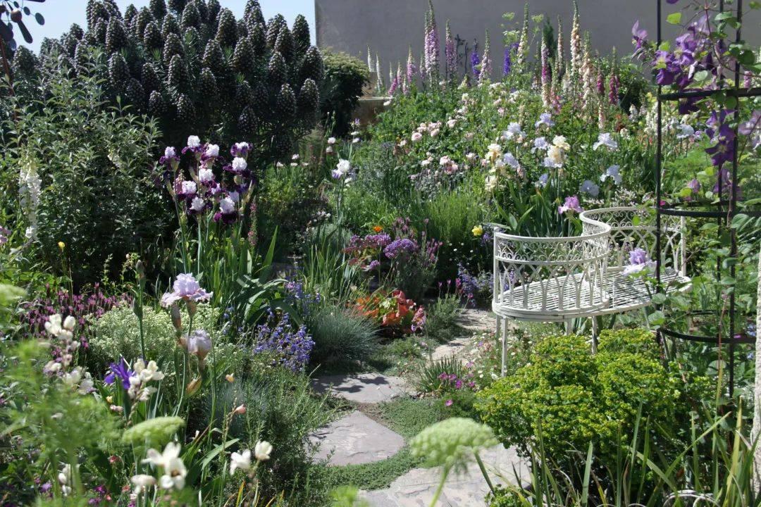 加州花園設計秘籍，打造完美花園的指南