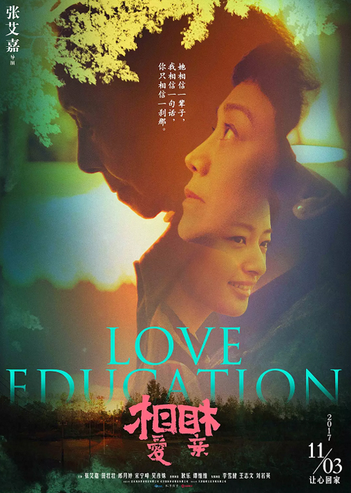 2017年暖心電影佳作回顧，時光流轉中的情感瞬間