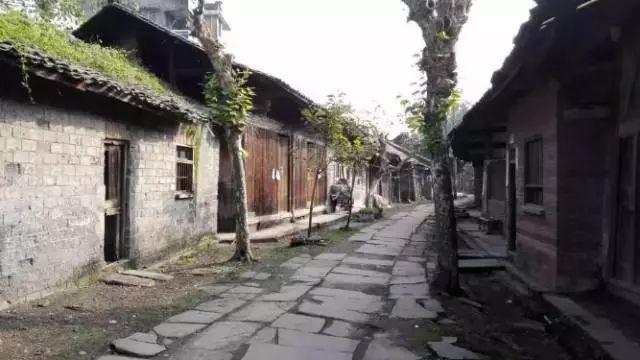 國外最快走馬比賽視頻,熱血沸騰的精彩瞬間!