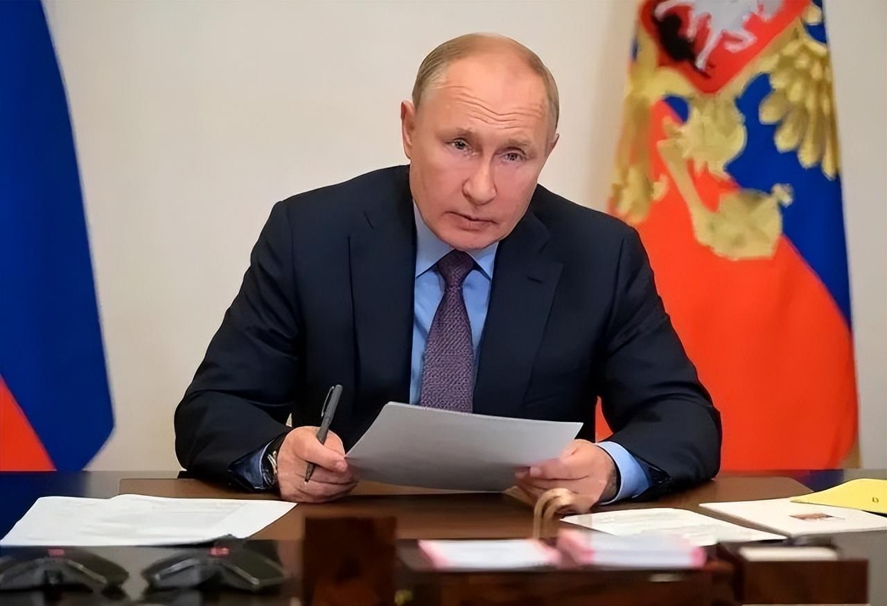 白俄最新動態,溫馨有趣的日常故事更新