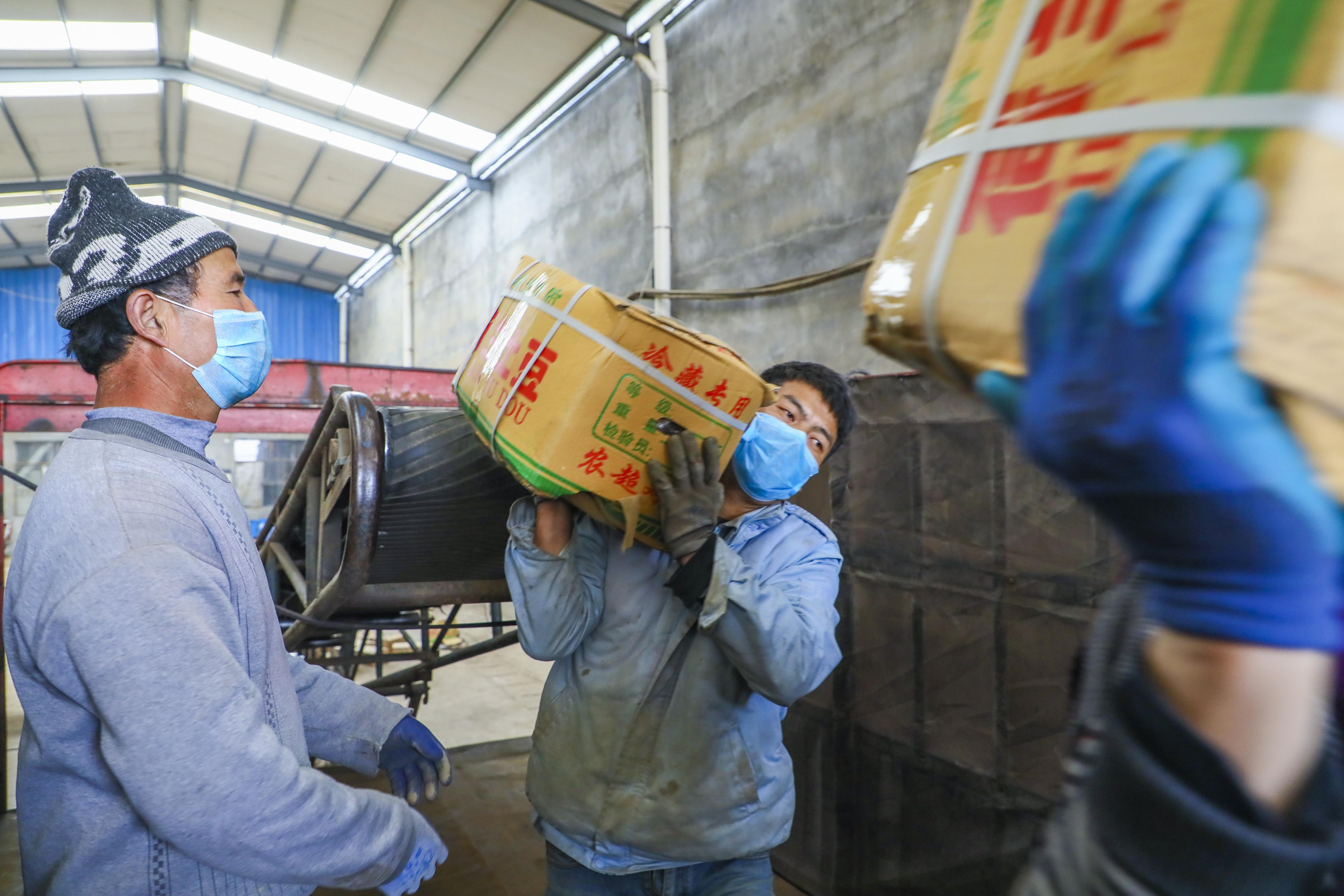 滕州土豆價格行情最新動態