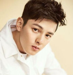 張芮爾最新個人資料揭秘，日常故事中的趣味與溫暖