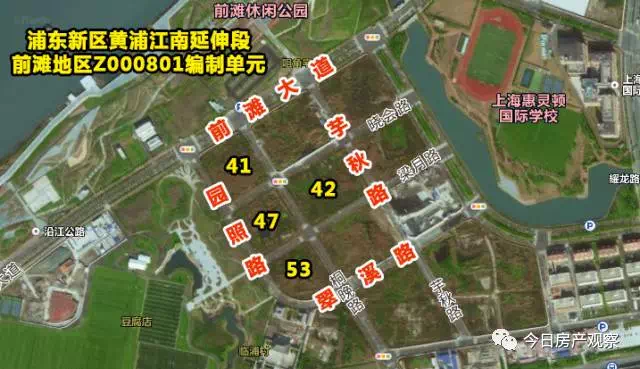 江橋郊野單元最新資訊大全,任務指南與技能學習教程