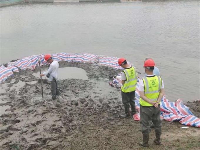 物理墜落最新版下載，小巷深處的冒險(xiǎn)之旅啟動(dòng)！