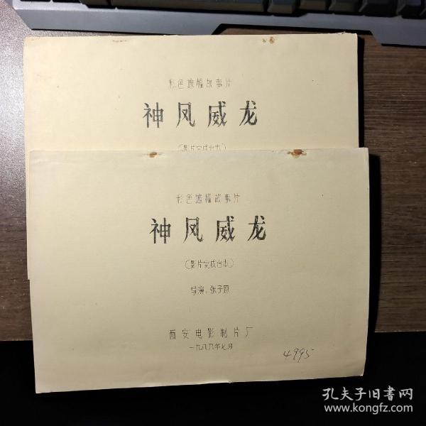 神風神龍,電視劇的魅力與傳奇之旅