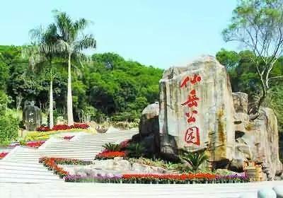 廈門最新資訊全掌握,獲取指南助你輕松了解最新動態