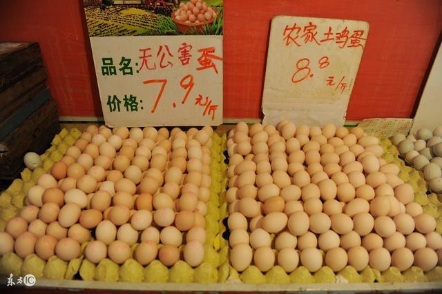 科技引領生活新紀元,最新菜場蛋價動態更新