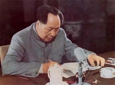 左右電影，自然美景之旅，探尋內心平和與寧靜的旅程