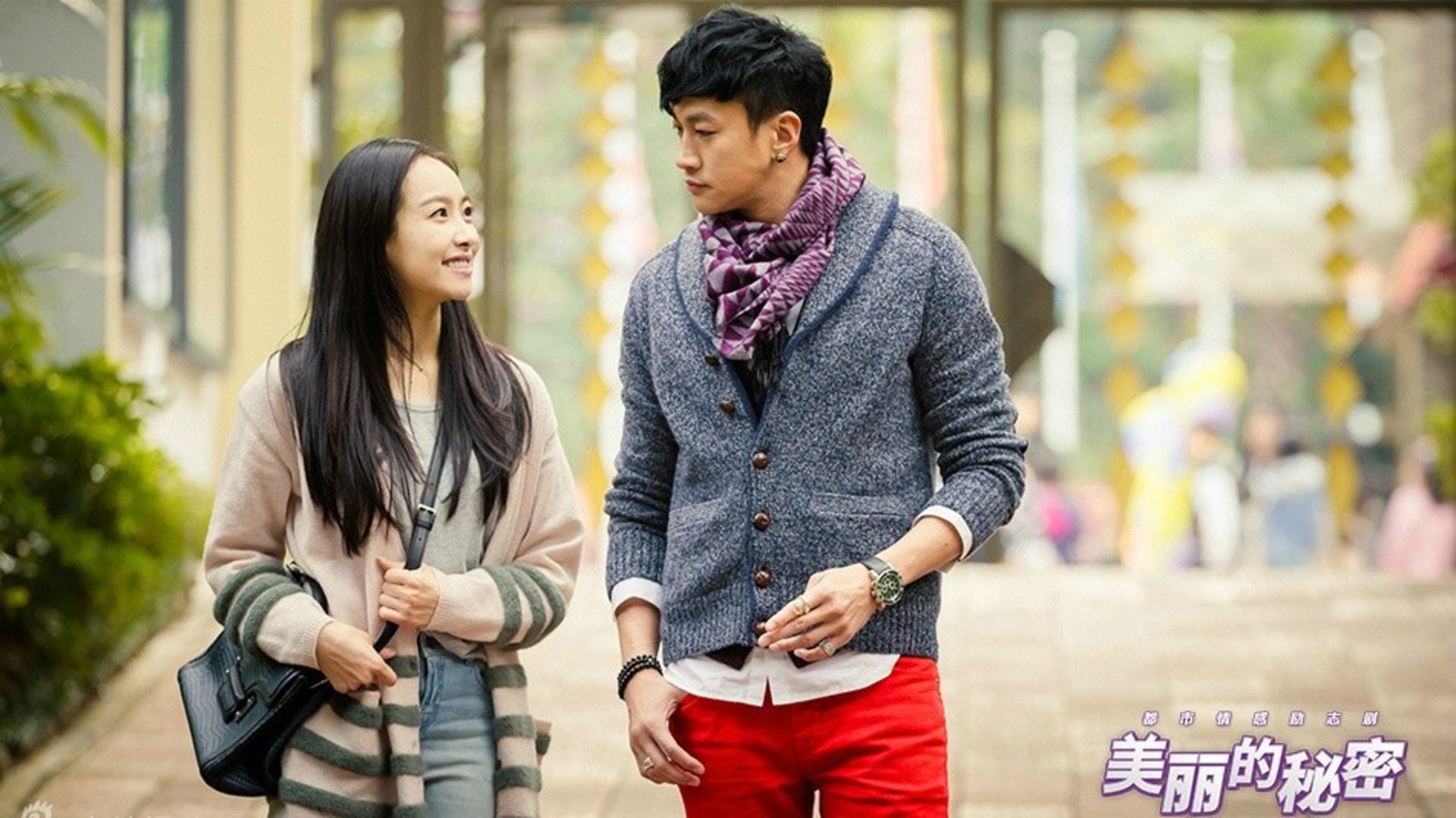 美麗的秘密電視貓,飼養與照顧貓咪的技能指南