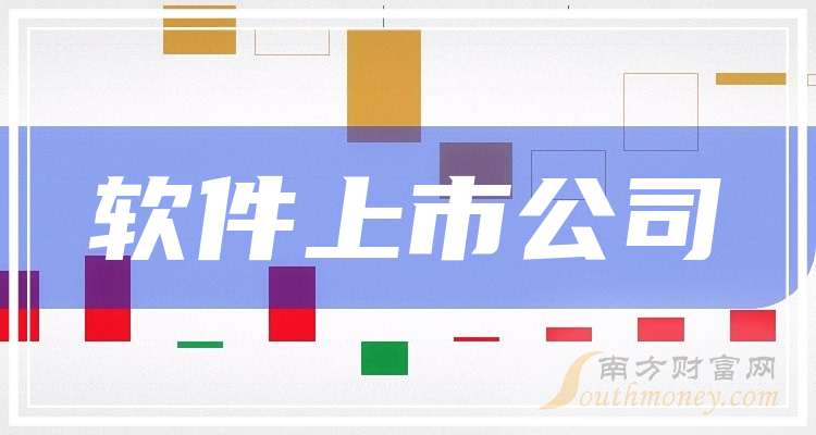 上市軟件公司,上市軟件公司詳細步驟指南