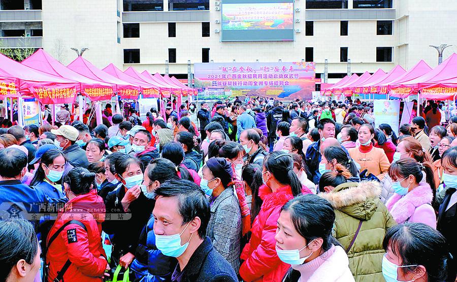 最新緝毒招聘，小巷中的獨特緝毒之旅啟程