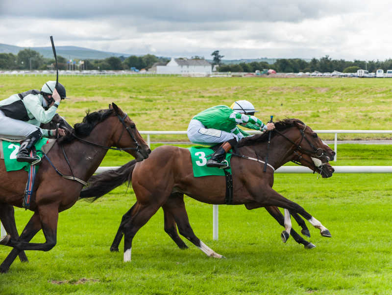 馬騎比賽，速度與力量的激情較量