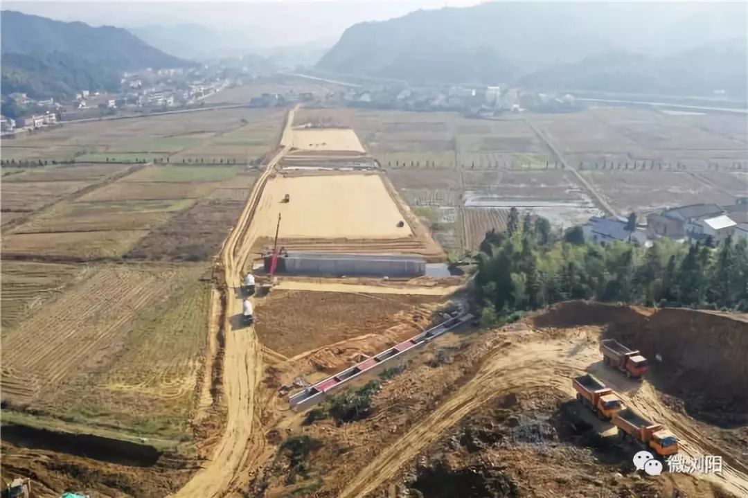 金陽大道三期最新進展、影響及各方觀點概述