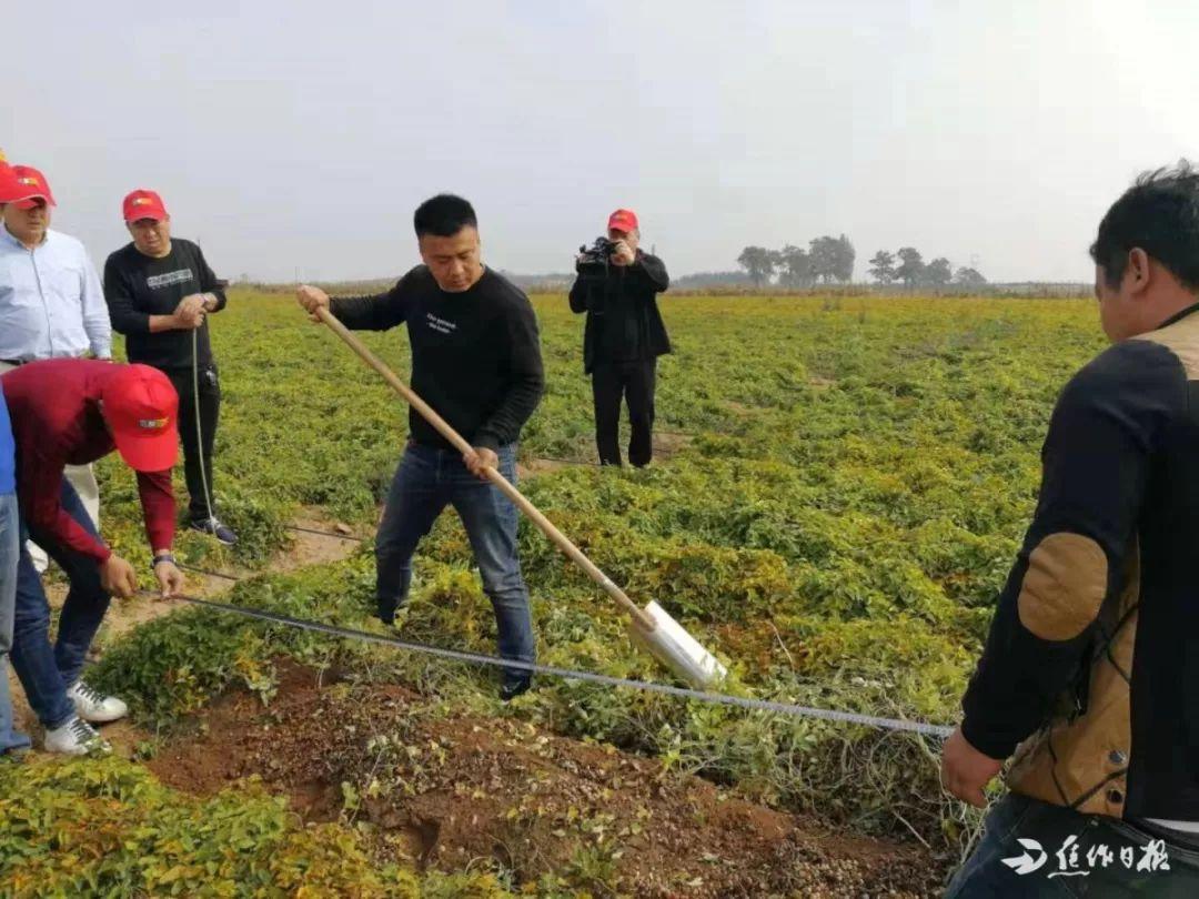 焦作上市，城市發展與友情的溫馨日常