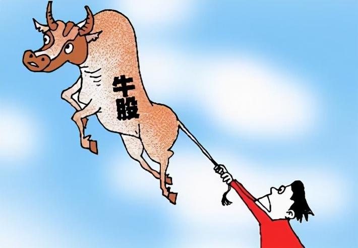 牛股王比賽，股市與味蕾的雙重盛宴，小巷中的隱秘寶藏！