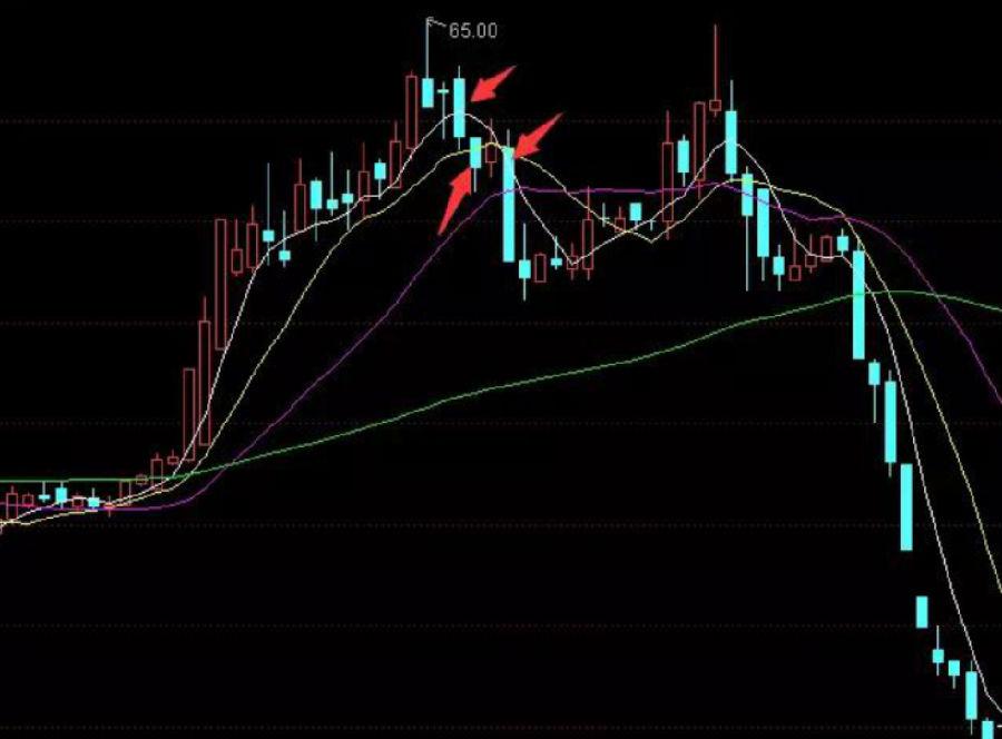 操盤股票,心靈與自然的探索之旅