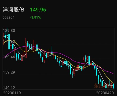 洋河股份股票行情深度解析，最新動(dòng)態(tài)與未來展望