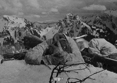 美國高分電影推薦榜,初學(xué)者與進(jìn)階用戶的觀影指南