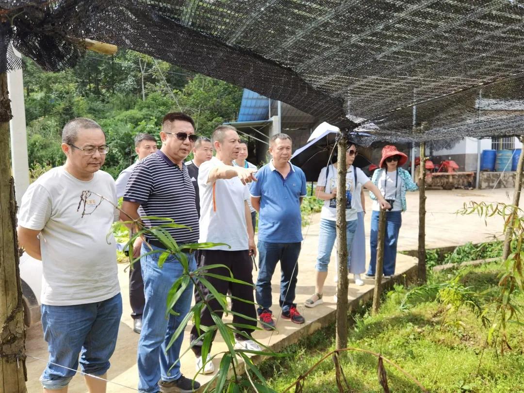 黃精行業動態,黃精行業動態,砥礪前行,變化中的自信與成就