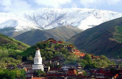 忻州錦繡華府最新動態揭秘，最新進展與精彩瞬間！