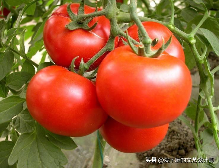 最新烹飪技巧分享,快速提升廚藝水平秘籍!