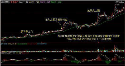 臥龍地產(chǎn)股票,自然美景的探索之旅與投資價值分析