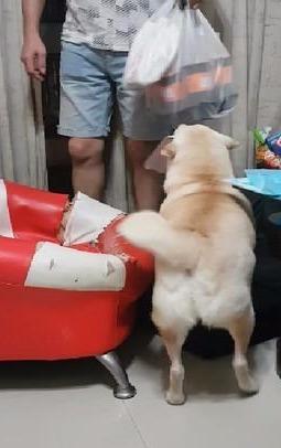 最新歐巴搖,最新歐巴搖，一場自然美景的探索之旅