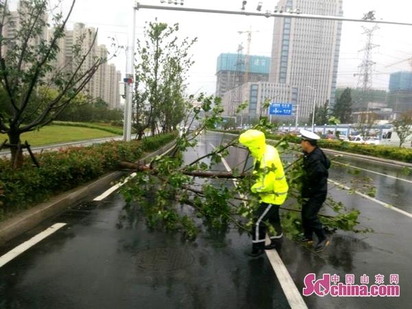 合肥災情最新動態,逆境中的力量與希望