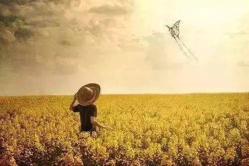 探索之旅,意義與價值的深度挖掘