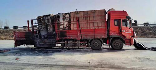 石家莊靈壽縣科技引領新生活潮流,高科技產品照亮未來之路