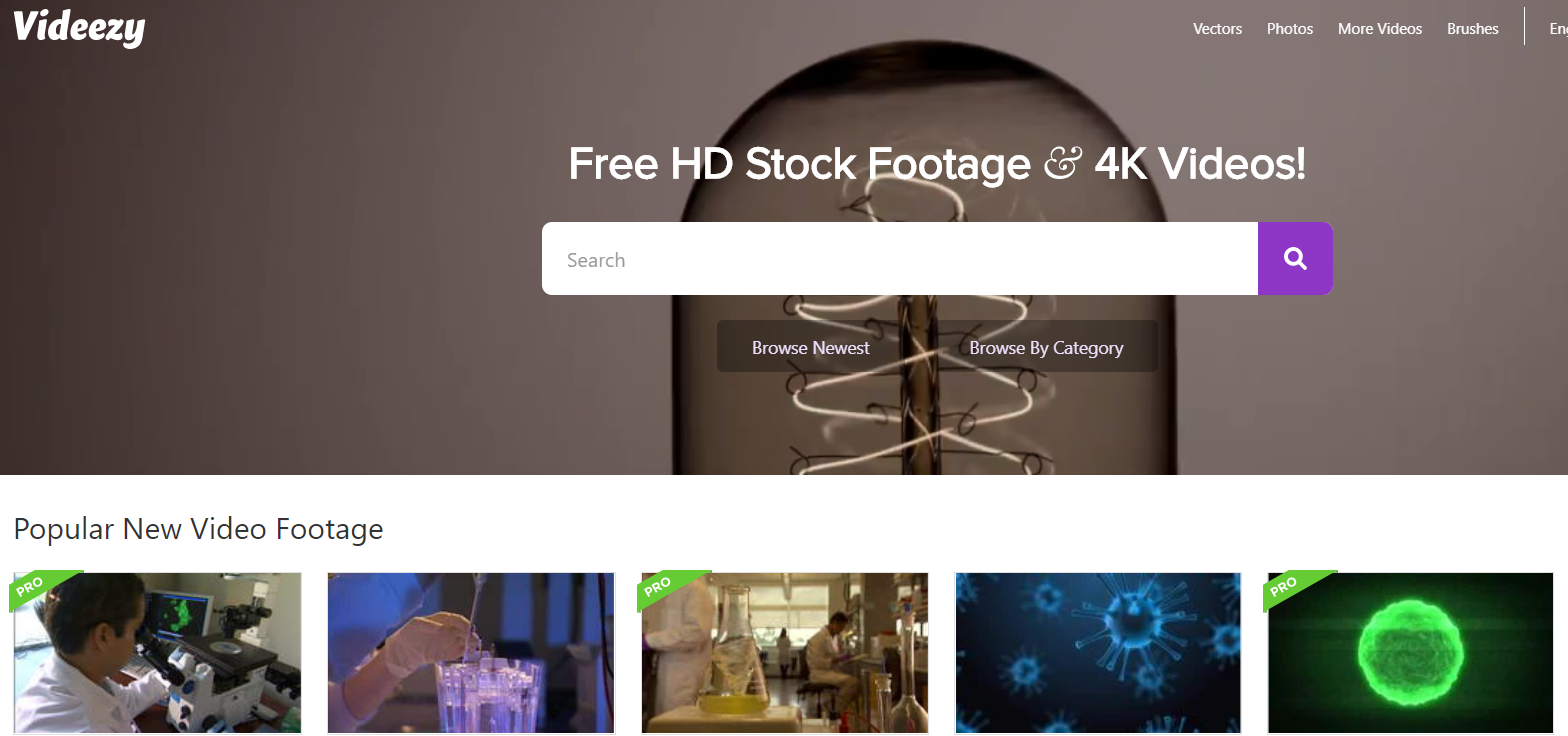 2025干最新視頻合集，日常趣事與情感紐帶