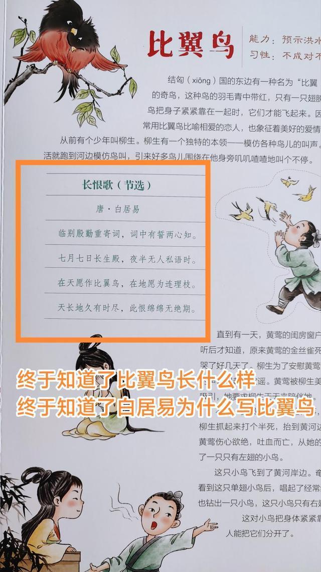 教師心靈之旅,探尋自然美景的奇妙旅程故事大賽稿