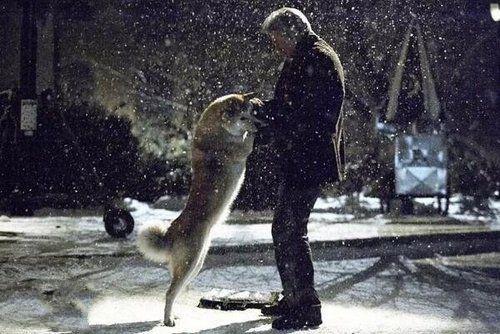 動物電影勵志故事,十大排行榜里的自信與成長之路