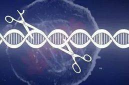 前沿基因科技，零基礎入門指南與探索