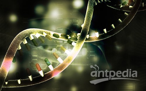 前沿基因科技,零基礎入門指南與探索