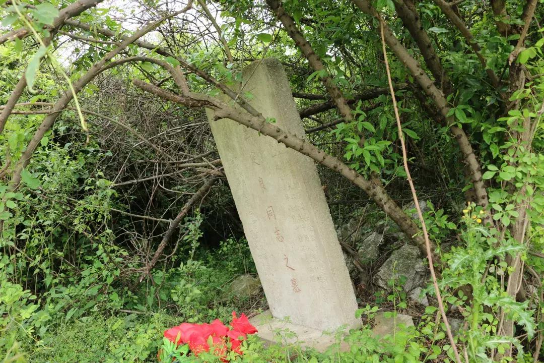 胡集論壇最新職位招聘,科技引領職場新風尚,開啟未來職業新篇章