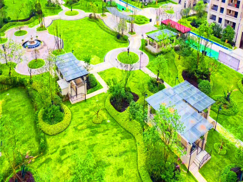 衡陽美的梧桐最新動態，小巷深處的獨特風味揭秘